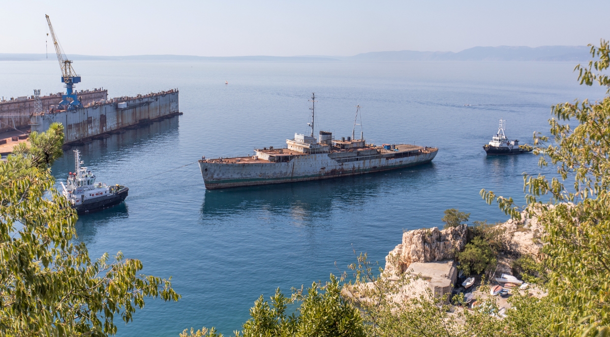 Galeb